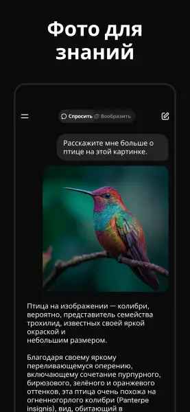 Grok MOD APK - Скриншот 3